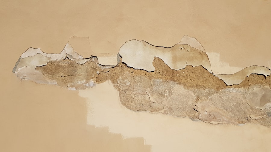 Tracing the damp to its source
